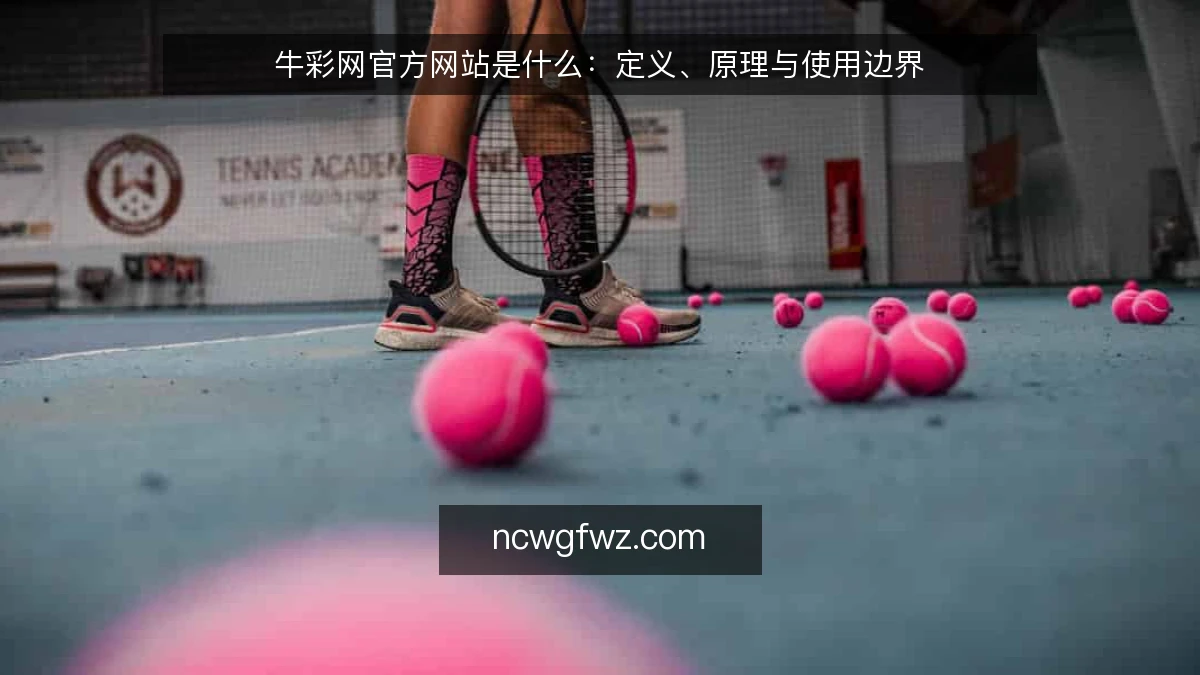 牛彩网官方网站是什么:定义、原理与使用边界