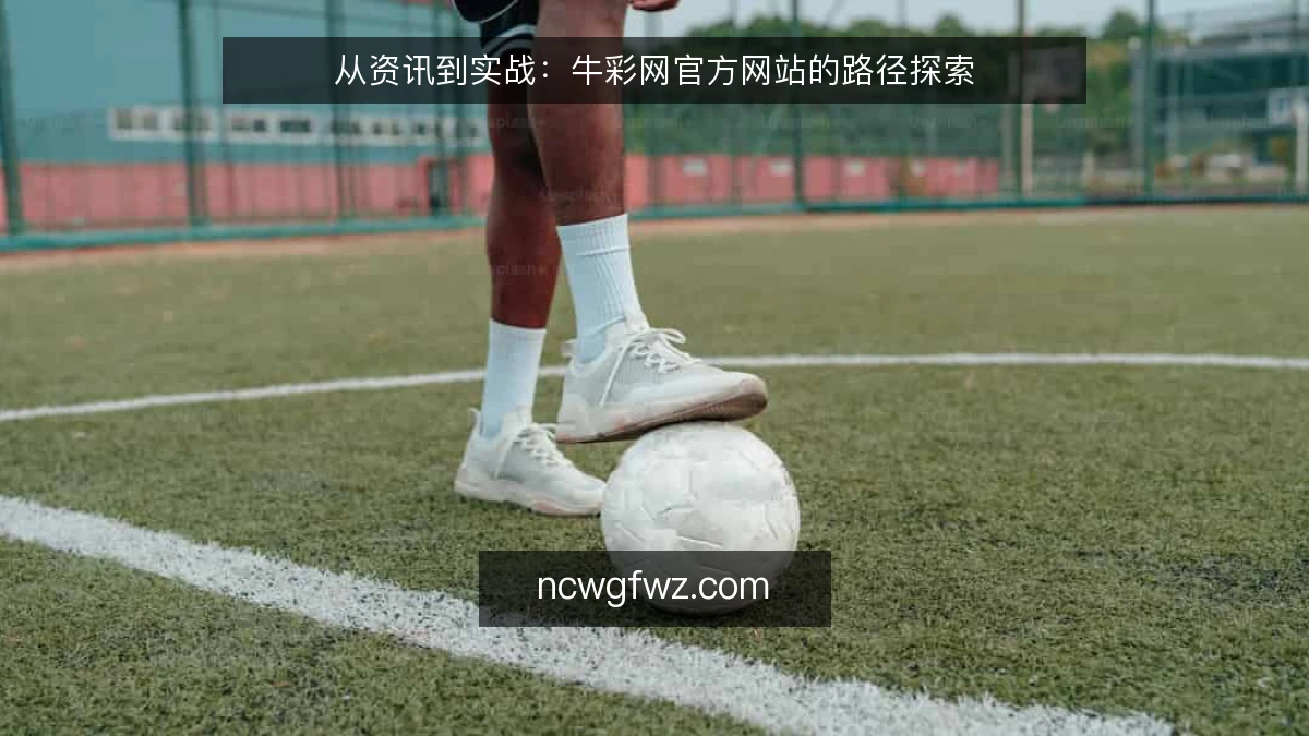 从资讯到实战:牛彩网官方网站的路径探索