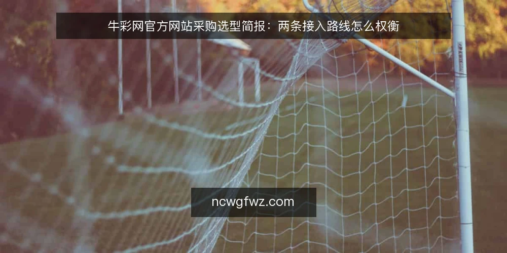 牛彩网官方网站采购选型简报:两条接入路线怎么权衡 — 先定评估范围:采购要解决什么问题 配图