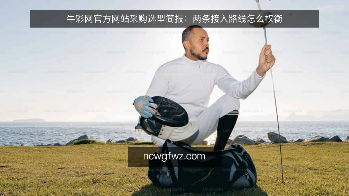 牛彩网官方网站采购选型简报:两条接入路线怎么权衡