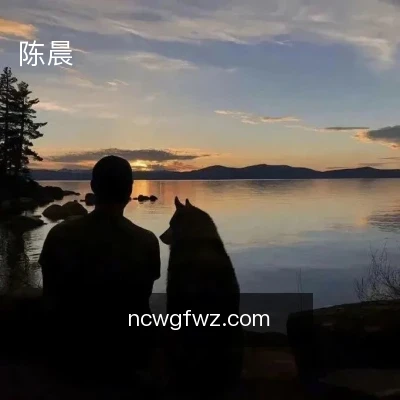 陈晨